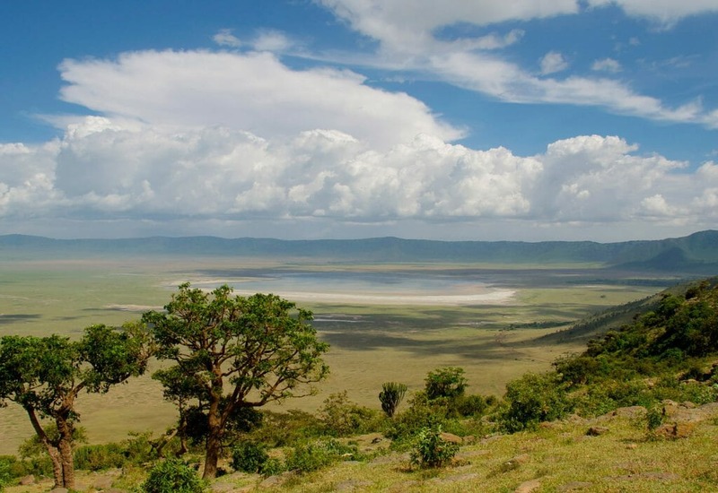 Best of Ngorongoro  <br>& Serengeti - 06 Days