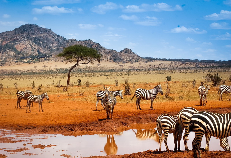 7 Days Kenya Discovery <BR>  Safari